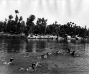 forgrafia actividades en el tajo