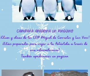 cartel piedrabuena en antartida