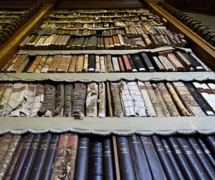 imagen de libros generada por ia