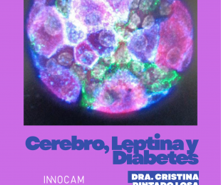 cartel charla biblioteca cobisa