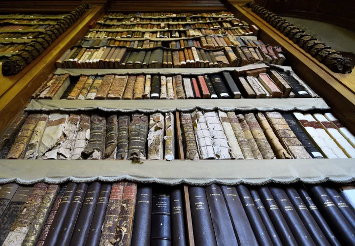 imagen de libros generada por ia