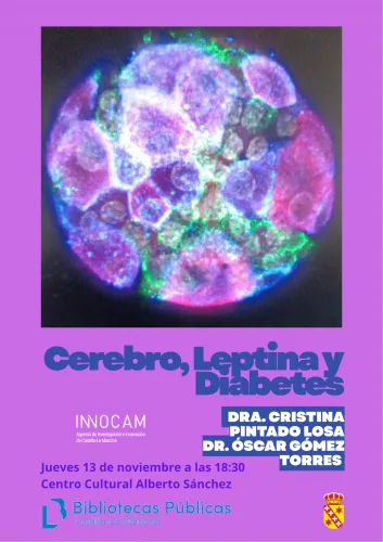 cartel charla biblioteca cobisa