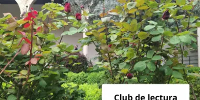 cartel del club de lectura las rosas de orwell del museo de santa cruz