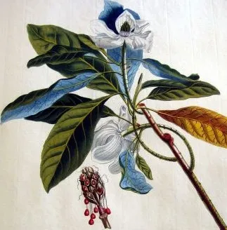 Patrimonio Digital de Castilla-La Mancha